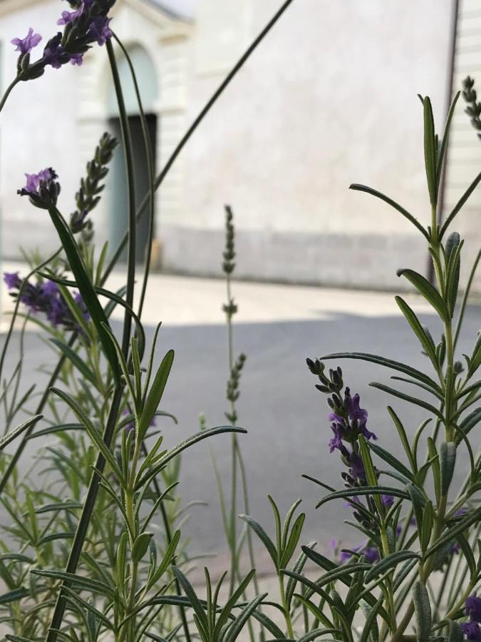 Fontevraud Maison De Ville Bnb Экстерьер фото